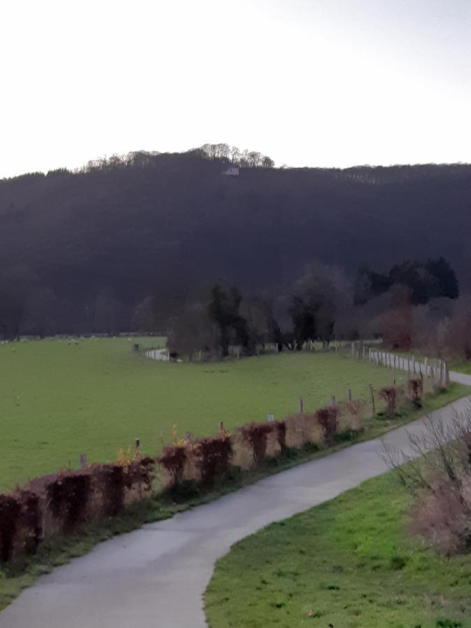 Bed&Breakfast Vallée de l'Ourthe Marcourt Exterior foto