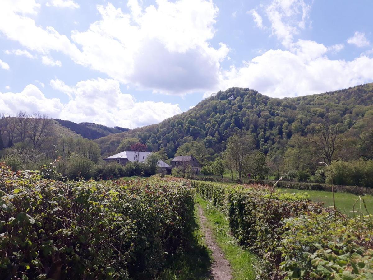 Bed&Breakfast Vallée de l'Ourthe Marcourt Exterior foto